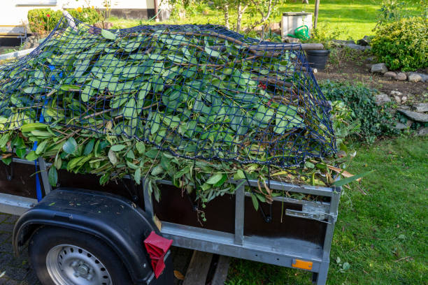 Waynesville, NC Junk Removal Services Company